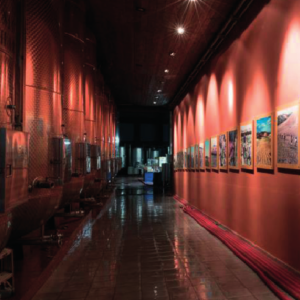 Vites – Museo d’impresa Librandi